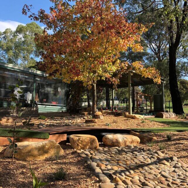 large tree in the centre of the outdoor with orange yellow leaves